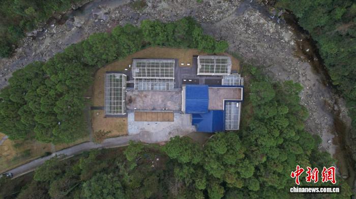 盛煌娱乐:贵州寒潮中守护黔金丝猴:科学补食叠加智能监测巡护